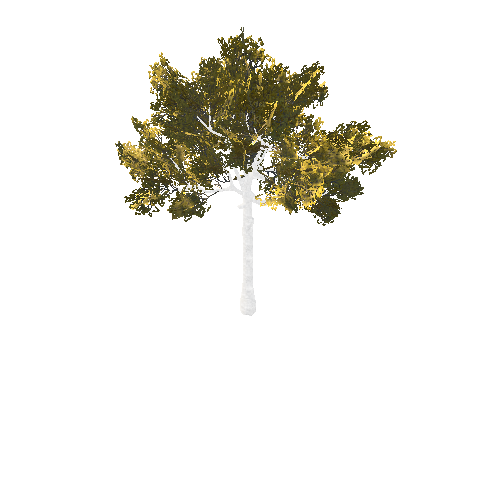 BeecthTree02GoldC_afsTREE_xmvcb _xlod01_xlp